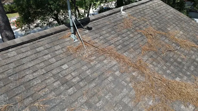 Roof inspection on a two-story home in Cypress, Texas. The aging asphalt shingles show heavy granule loss and a faded, chalky surface, with pine needles collecting along the slope and around an old antenna mast. Pine needles trap moisture against shingles and speed up wear, a common problem under the tall pines in Cypress neighborhoods. A roof in this condition can make it hard to get or keep homeowners insurance.