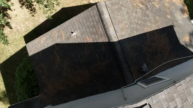 Overhead view of the rear slope with a plumbing vent, a box vent and the ridge line, half in shade from the surrounding trees. Pine debris sits on the shingles, and the older shingle field shows the wear pattern that comes with decades of Texas sun. Checking every penetration and vent during an inspection matters because those are the spots where old roofs usually start leaking.