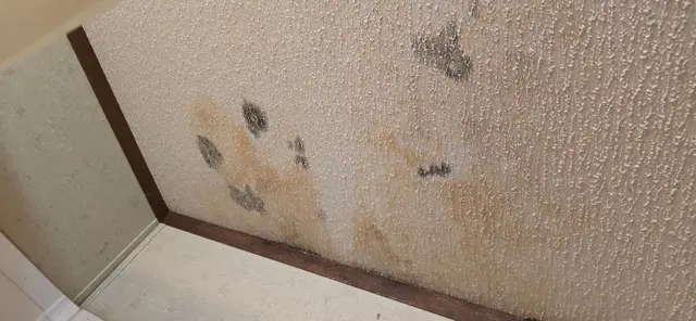 Interior water damage from a roof leak in a Pearland, Texas home: brown water stains and dark spotting spread across the wall below the damaged section of roof. Spotting like this can signal mold growth starting inside the wall cavity. Interior damage photos are an important part of a storm insurance claim because they show the roof damage had already allowed water into the living space.
